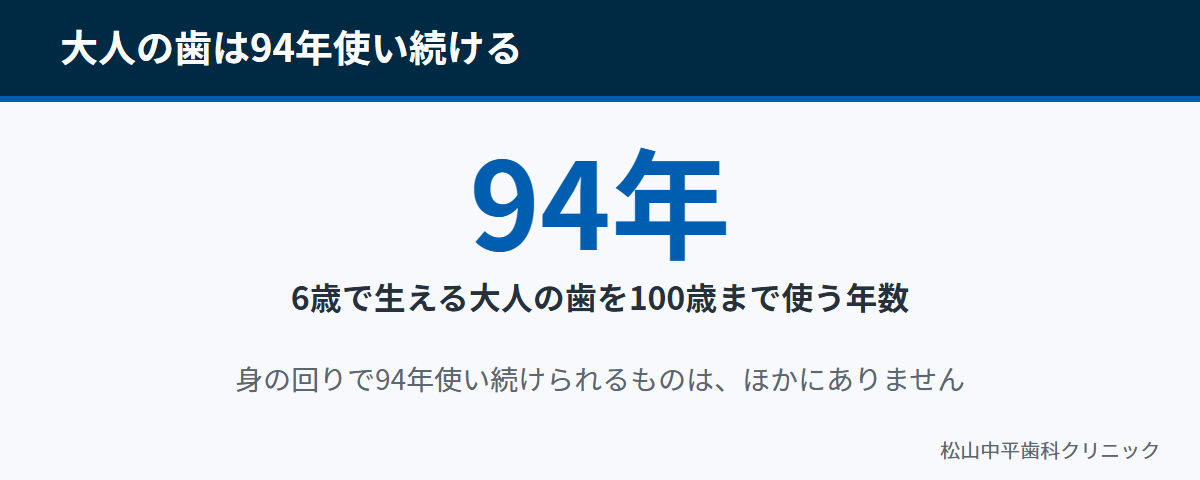 6歳で生える大人の歯を100歳まで使うと94年間になることを示した図