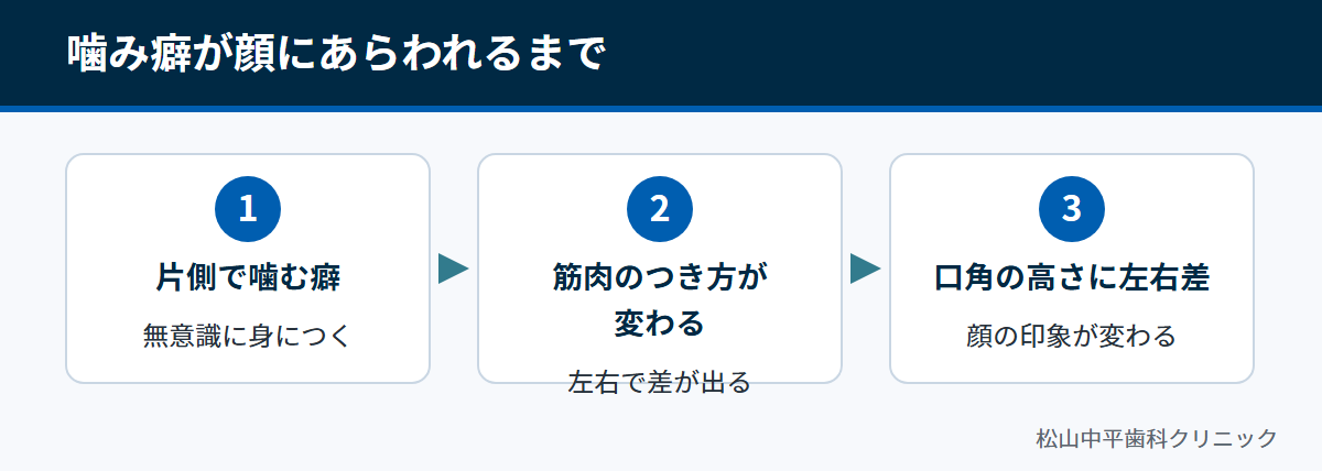 片側で噛む癖が筋肉のつき方を変え、口角の高さに左右差が出るまでの流れを示した図